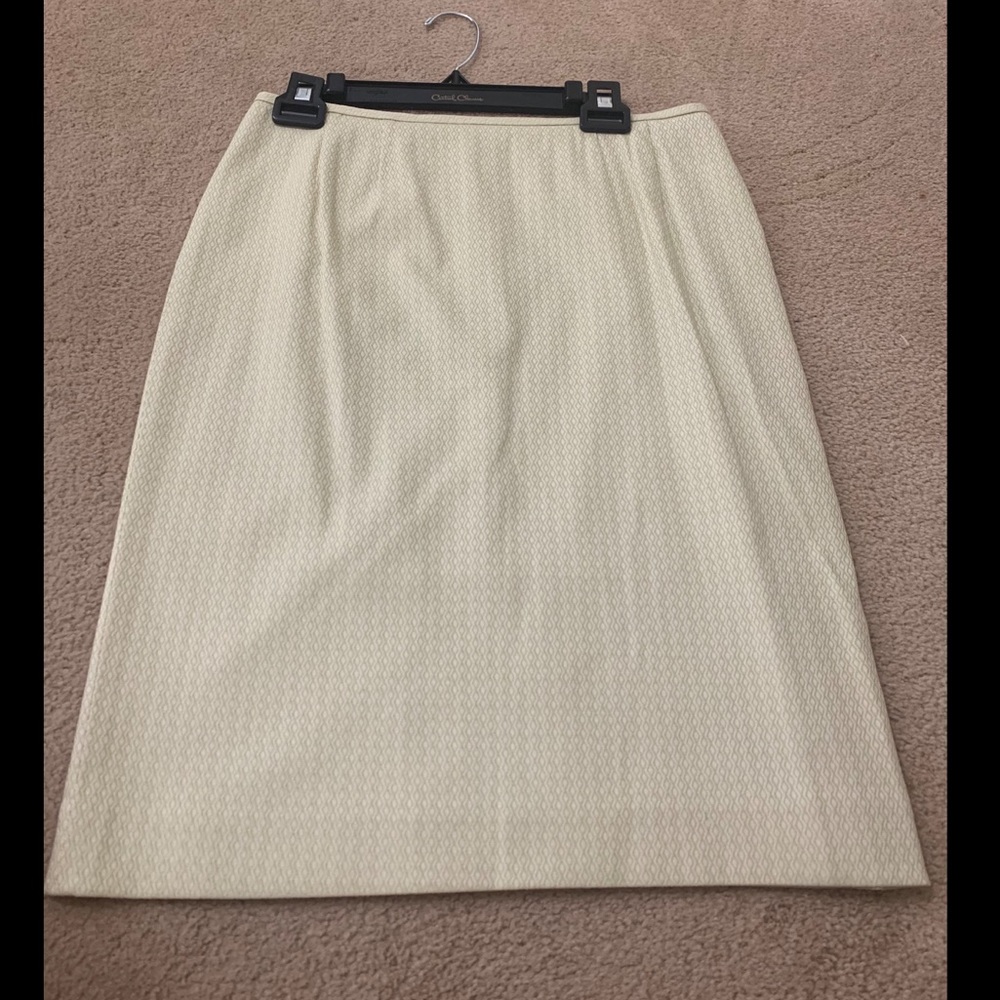 Women’s Tahari Lined Skirt Sz. 10